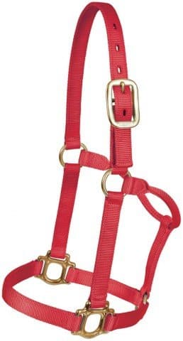 Traditional Nylon Halter 800-1100 LBS 85351