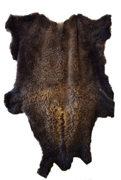 Buffalo robe, bison hide