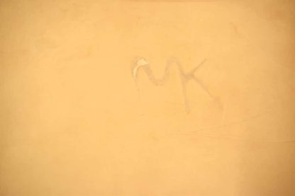 Hermann Oak Craft Grade Leather 9-12 oz - Image 2
