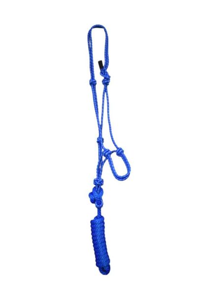 Yearling Rope Halter, and Lead 8105