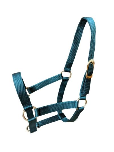 Economy Halter