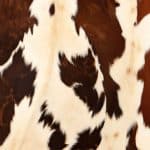 Cow Hide Crafts: 7 DIY Project Ideas for Around the Home